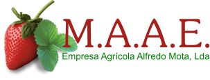 M.A.A.E.