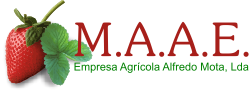M.A.A.E.
